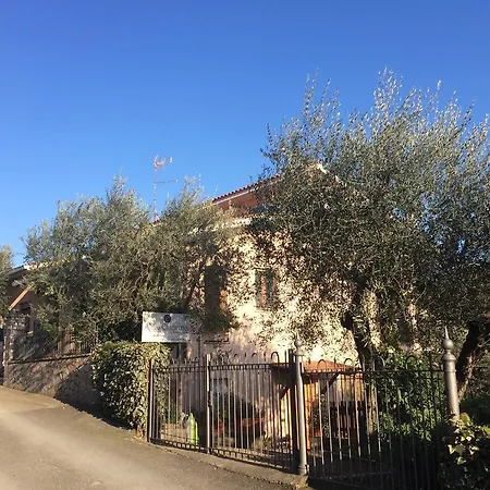 Ettorina - Poggio Mirteto